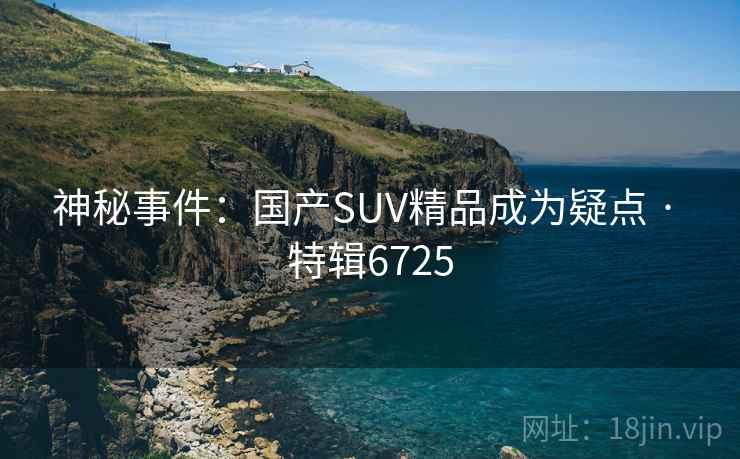 神秘事件：国产SUV精品成为疑点 · 特辑6725