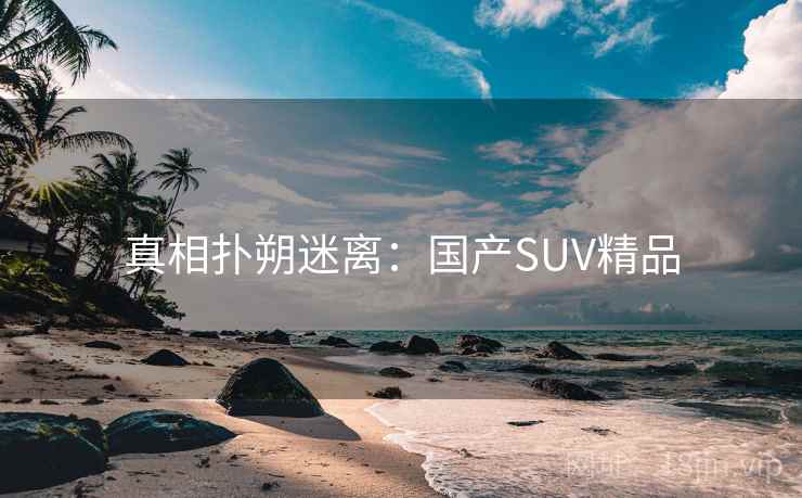 真相扑朔迷离：国产SUV精品
